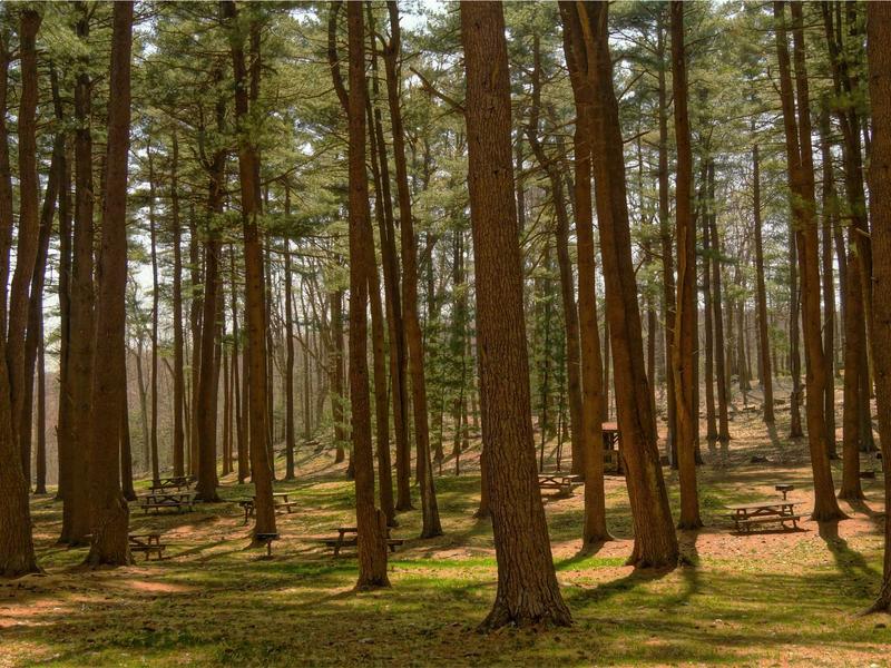 sudoku strategy guide screenshot 4